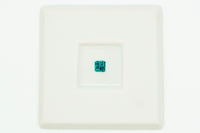 Ume Kiku Plum Blossom Chrysanthemum Coaster EdoMatcha