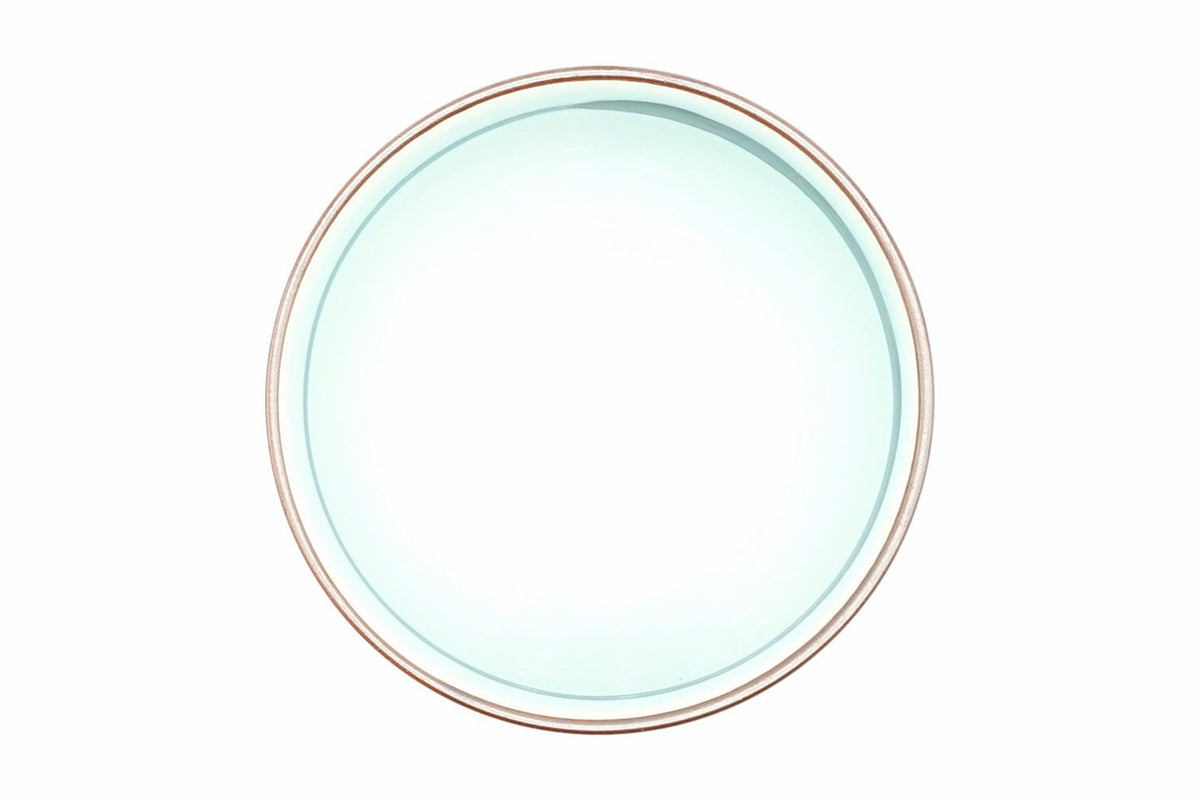 Dragon Yunomi seen from above, pale blue-white glazed interior with a fine brown rim