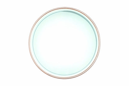 Dragon Yunomi seen from above, pale blue-white glazed interior with a fine brown rim