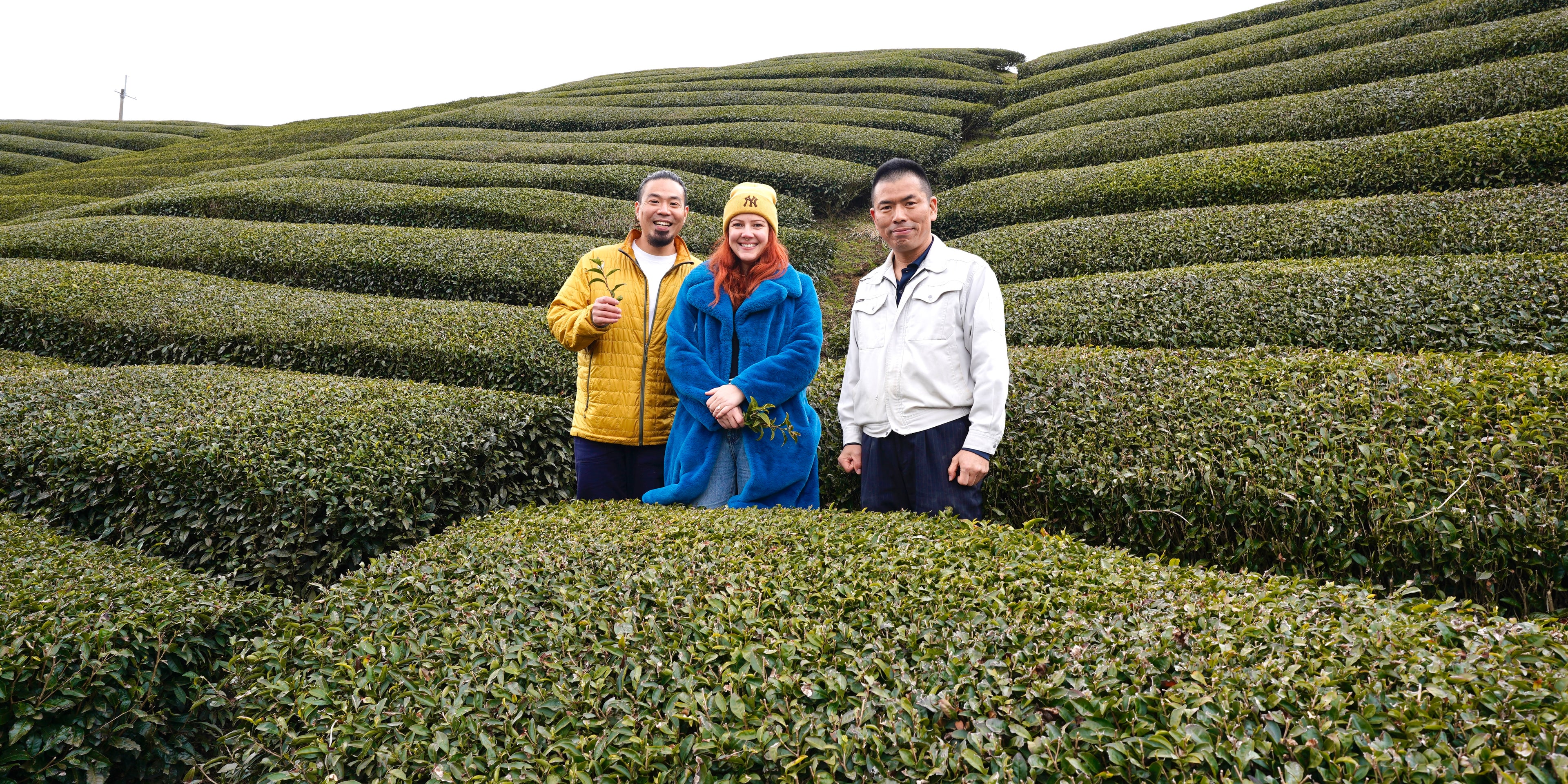 Taka Kaneko and Holly of EdoMatcha with their supplier at a certified organic tea farm in Uji, Kyoto, Japan