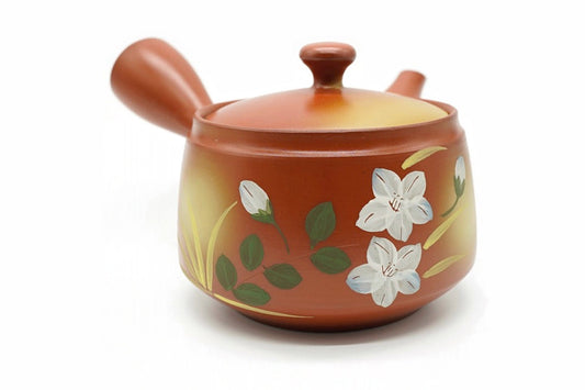 Hinoiri Kyusu, a terracotta Tokoname teapot hand-painted with white flowers and gold grasses, front view