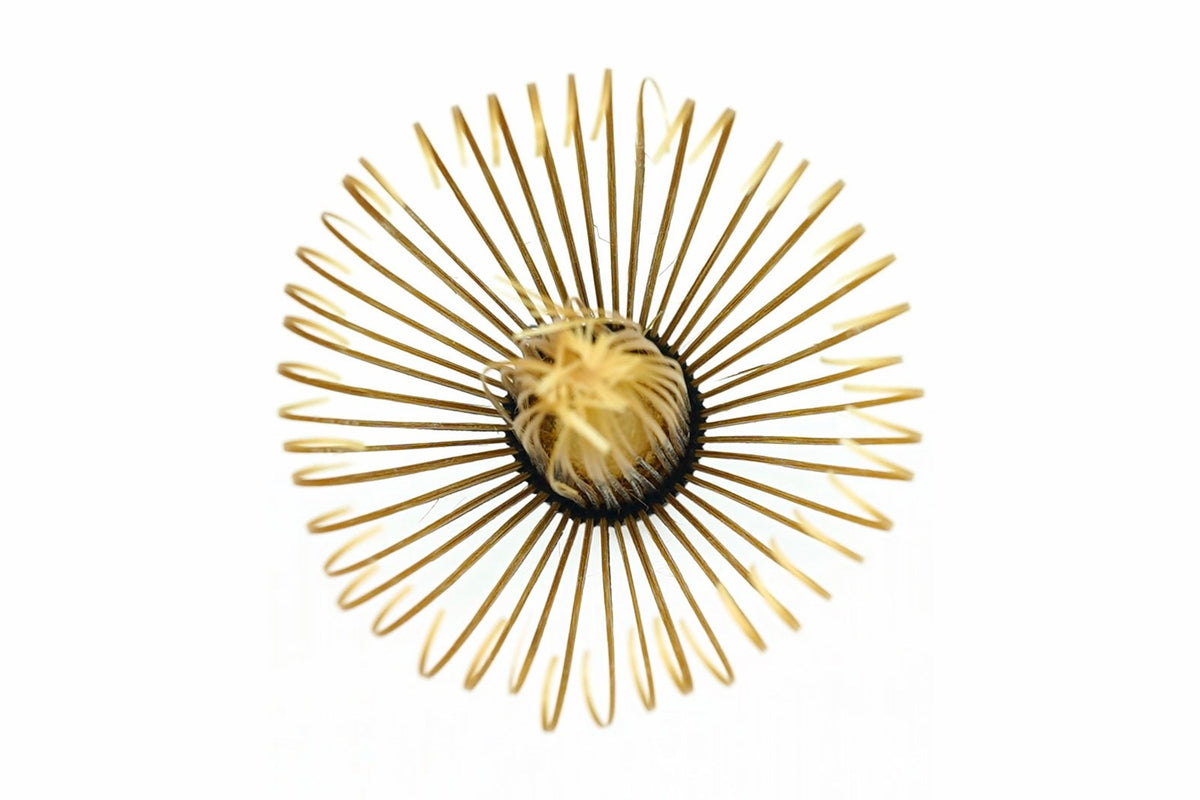 handcrafted Japanese matcha bamboo whisk chasen from Nara Prefecture