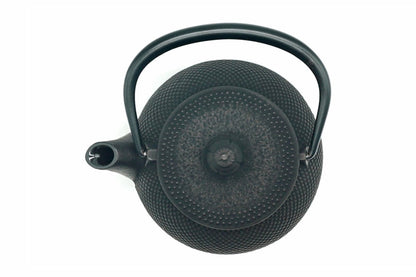 Nanbu Tekki Arale Kyusu, Japanese Teapot, EdoMatcha